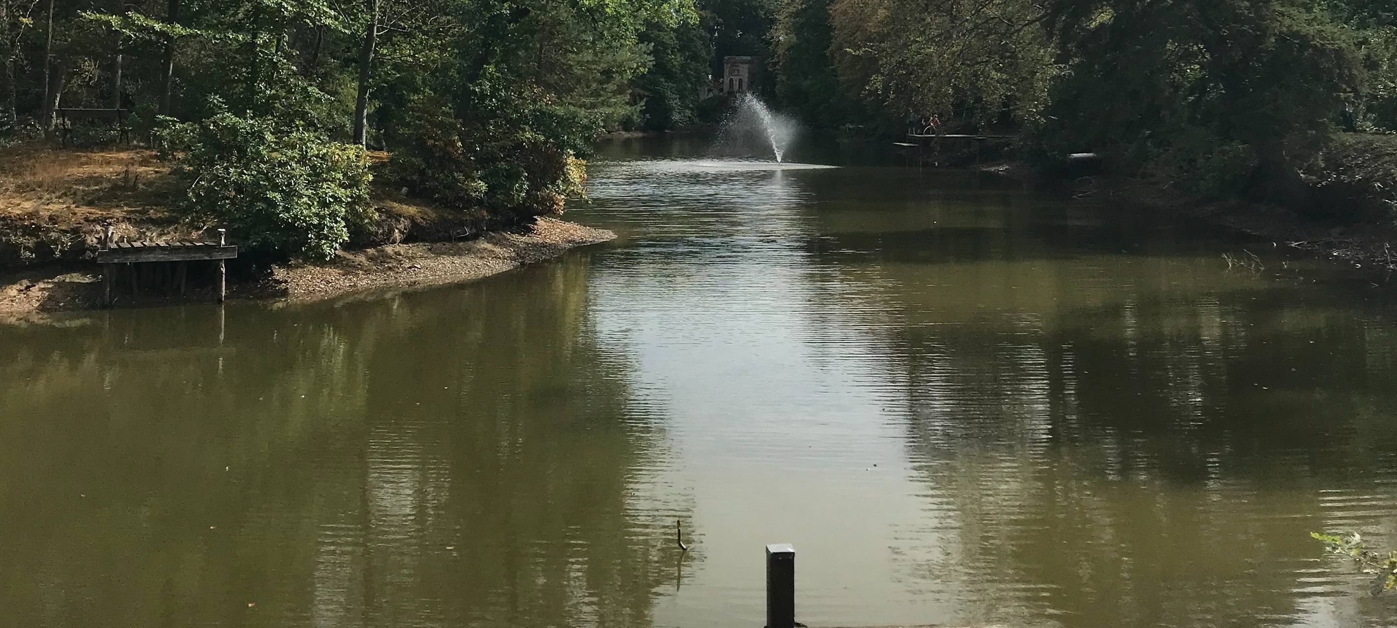 Geld für Dürener Park