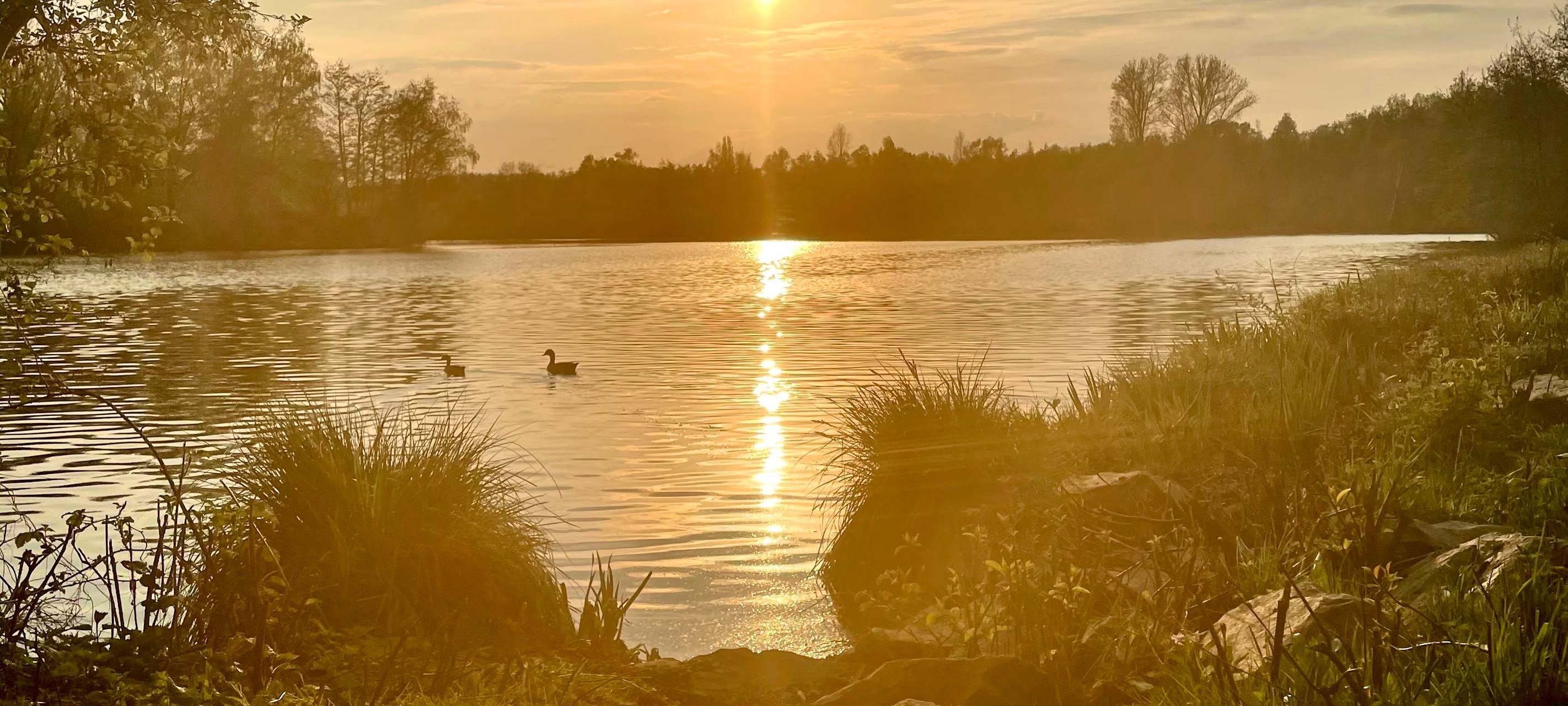 Schwimmen am Barmener Baggersee