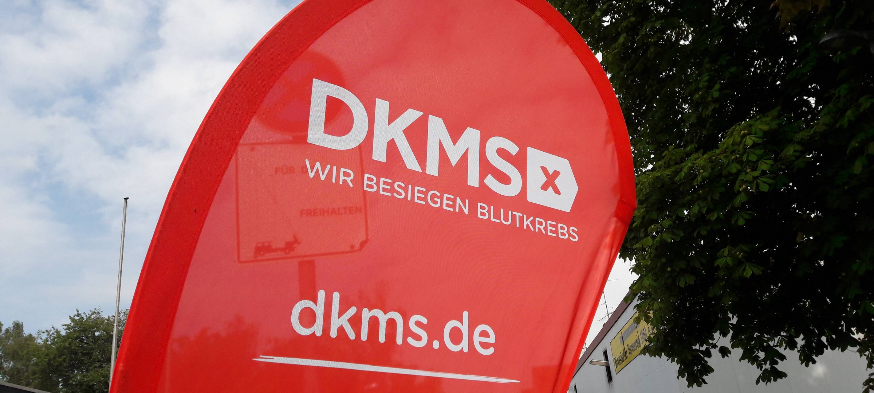 Verjüngungskur für Stammzellenspender