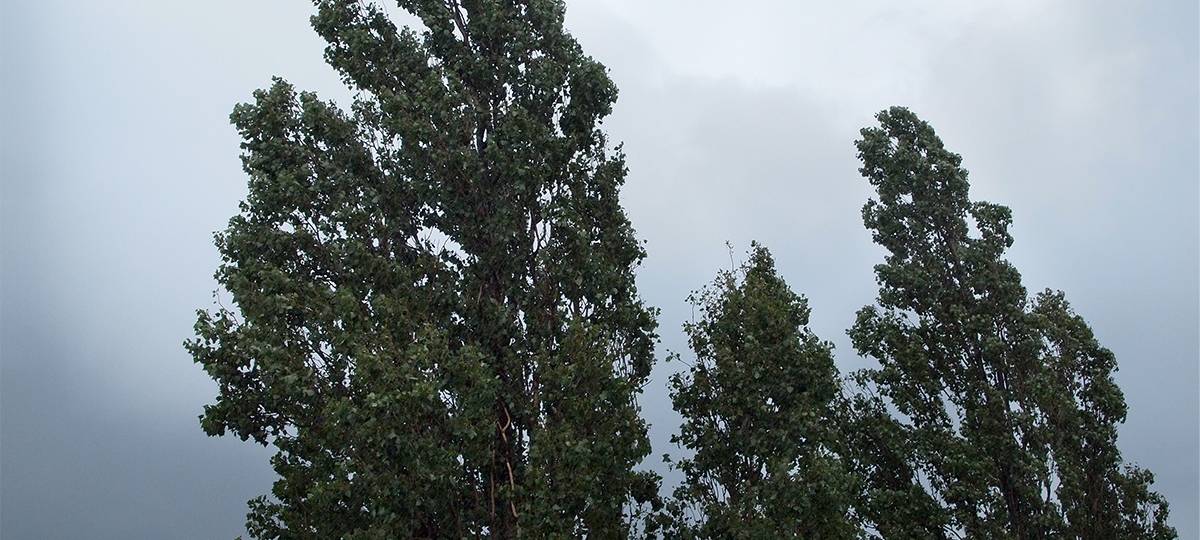 Sturm sorgt für Einsätze