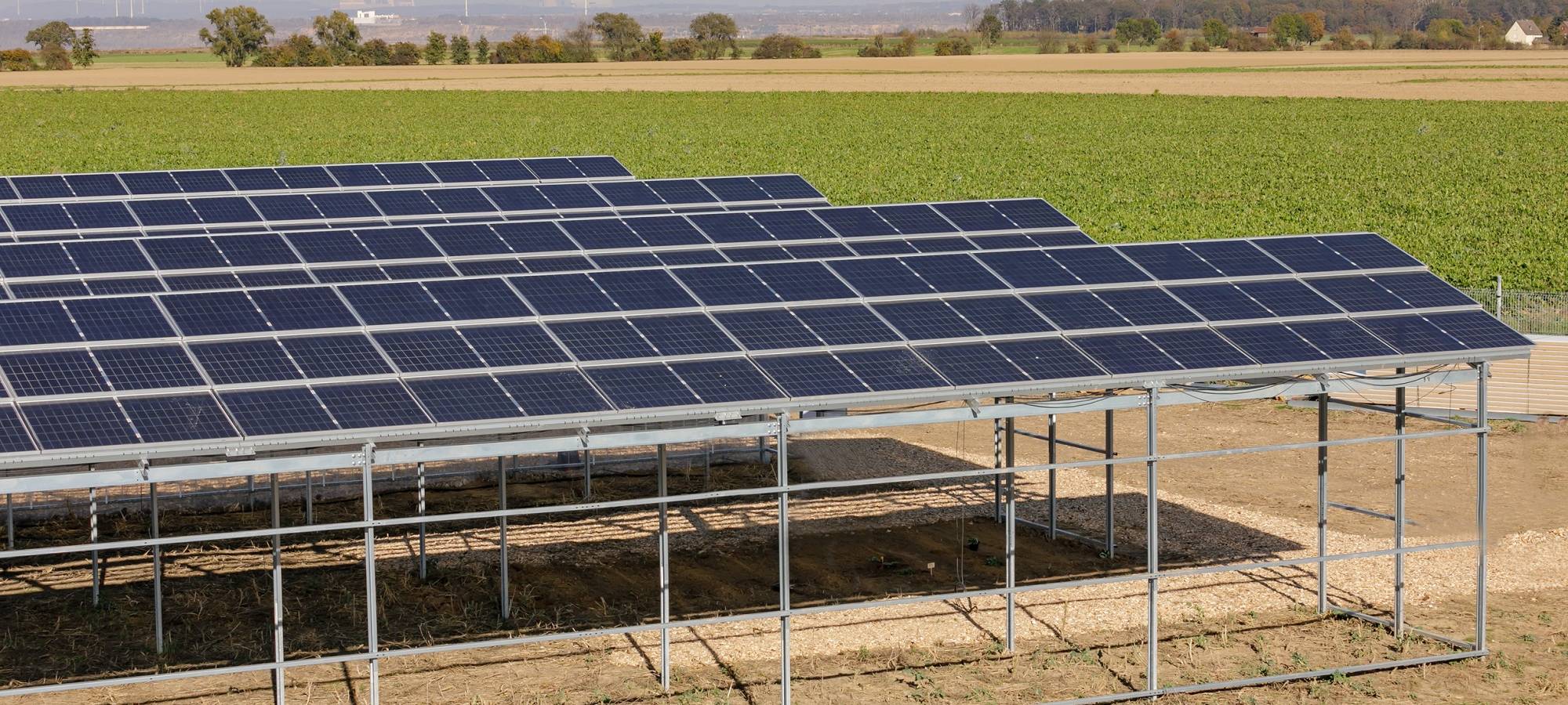 Agri-PV Anlage in Morschenich dient der Forschung