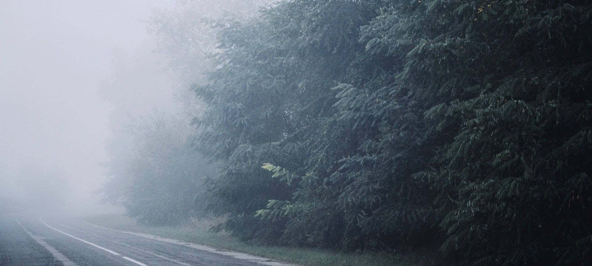 Nebel im Kreis Düren