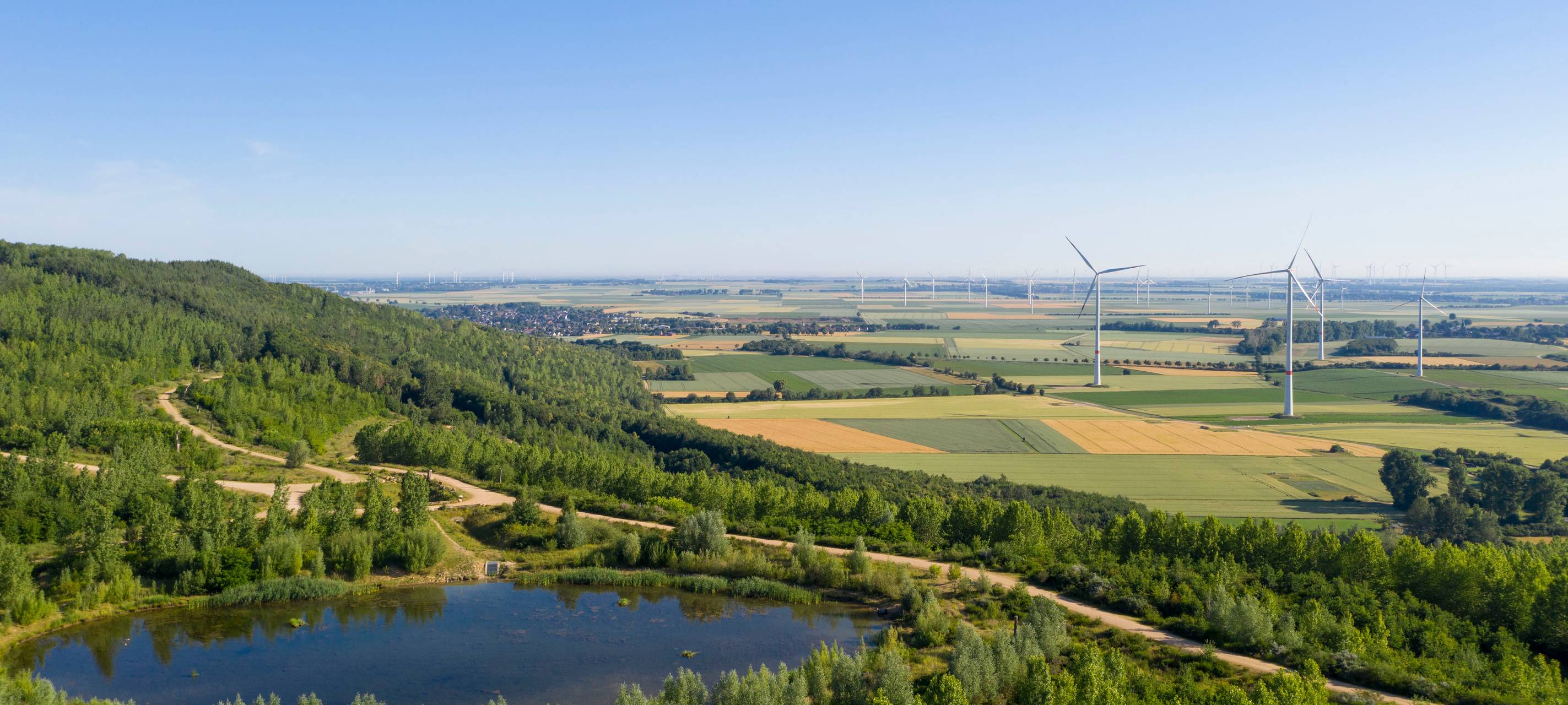 Seltene Wildkatze auf Sophienhöhe entdeckt