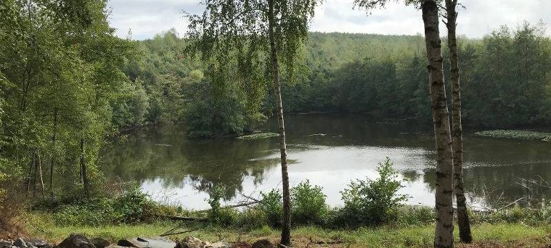 Sophienhöhe soll doch unangetastet bleiben