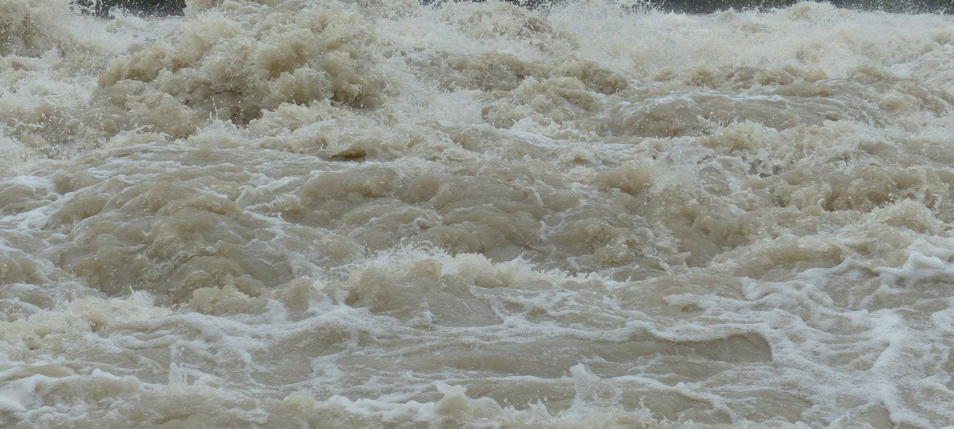Fotos und Videos gesucht