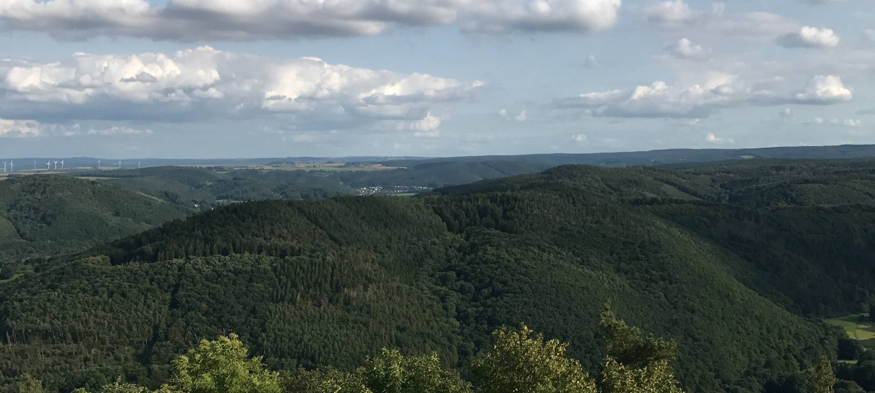 Erfolgreiche Blindgänger-Sprengung in Hürtgen