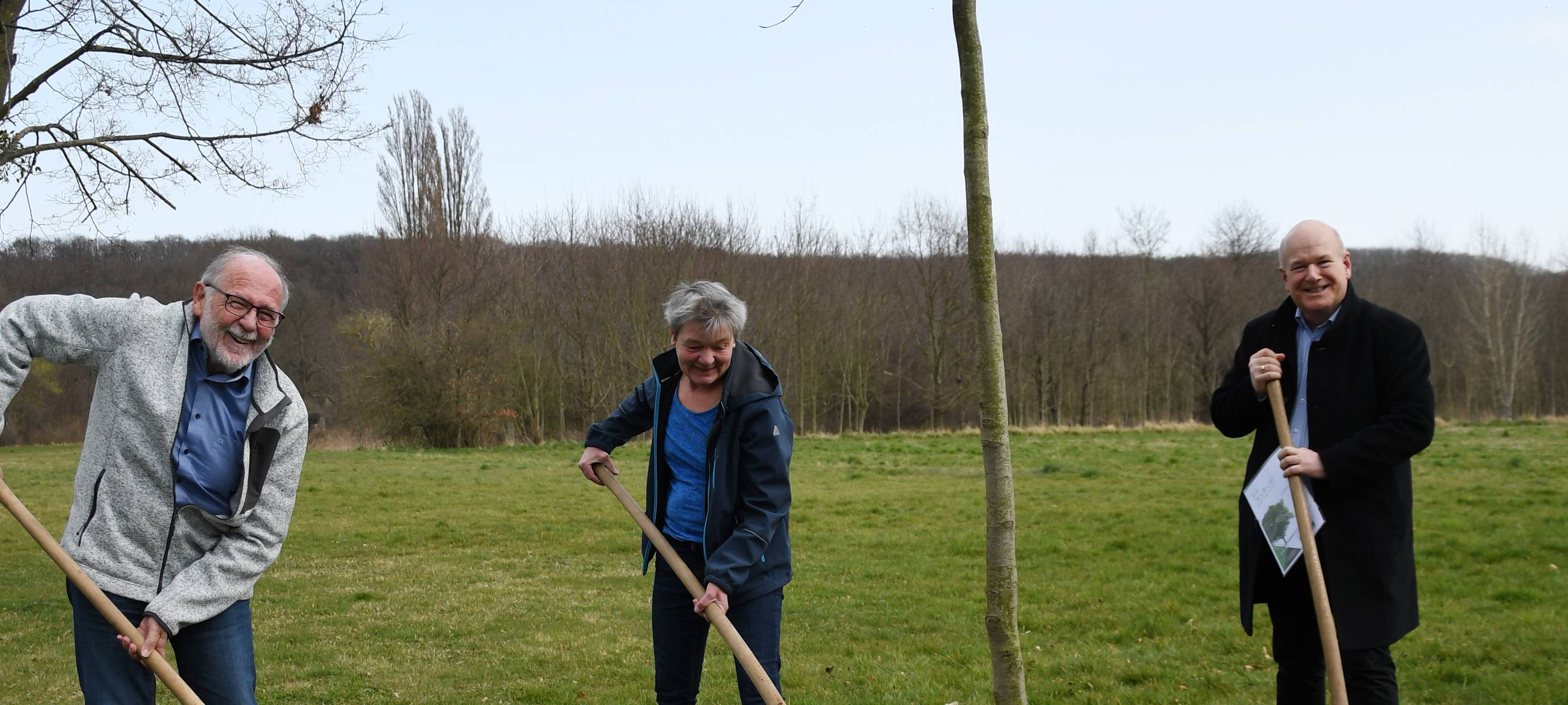 Baum zum Stadtjubiläum