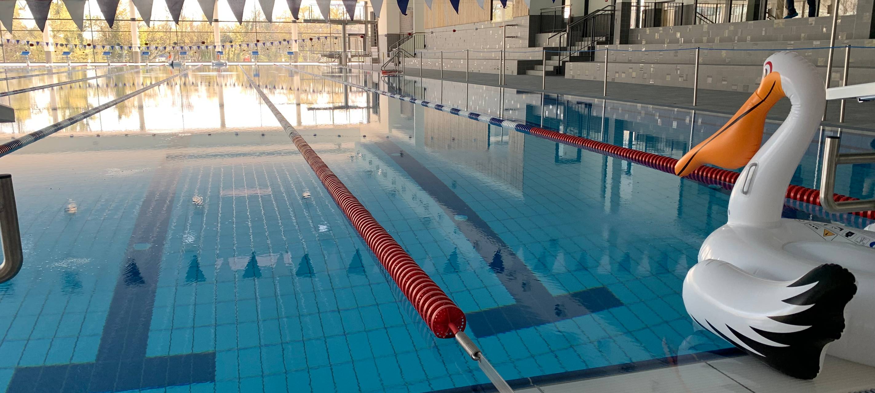 Wasser bereits im Becken