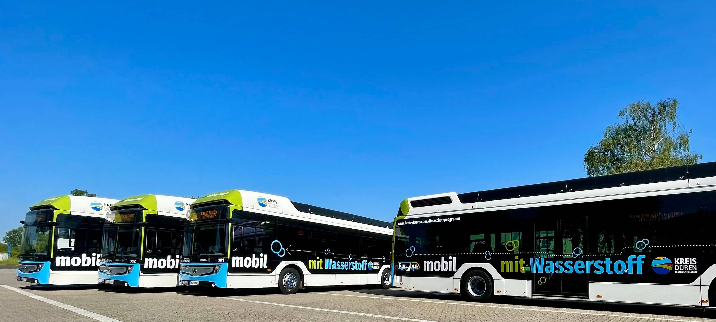 Neue Busse vor dem Start