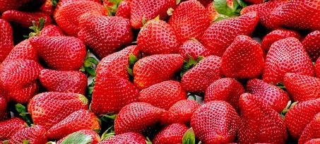 Schlechtes Geschäft mit Erdbeeren