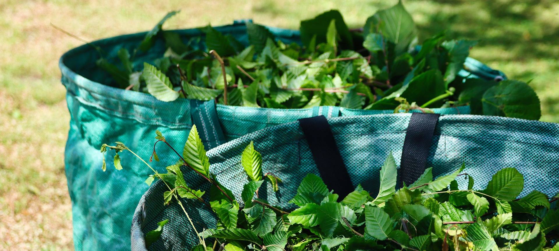 Nur noch Bündel und Papiersäcke erlaubt