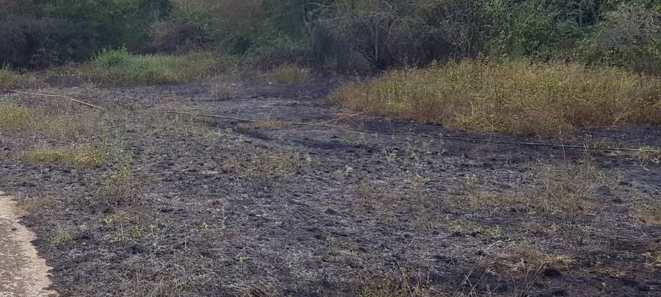 Brand am Radweg