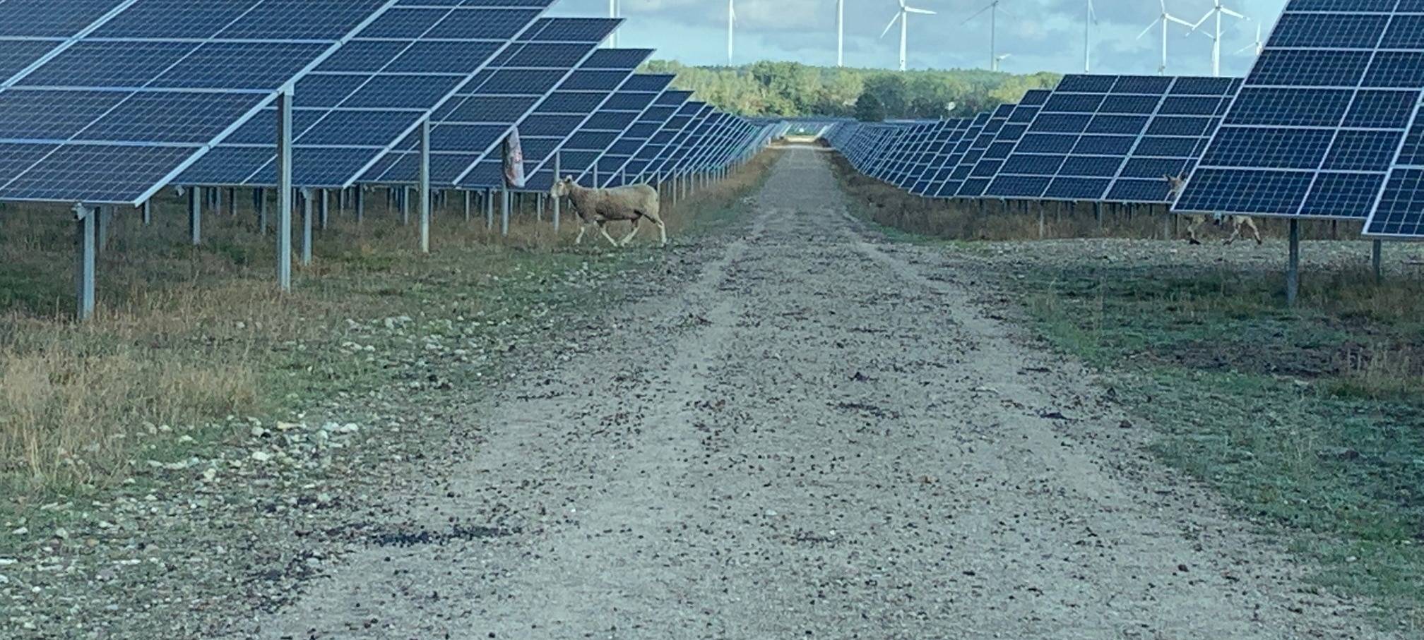 Konzept für Solaranlagen