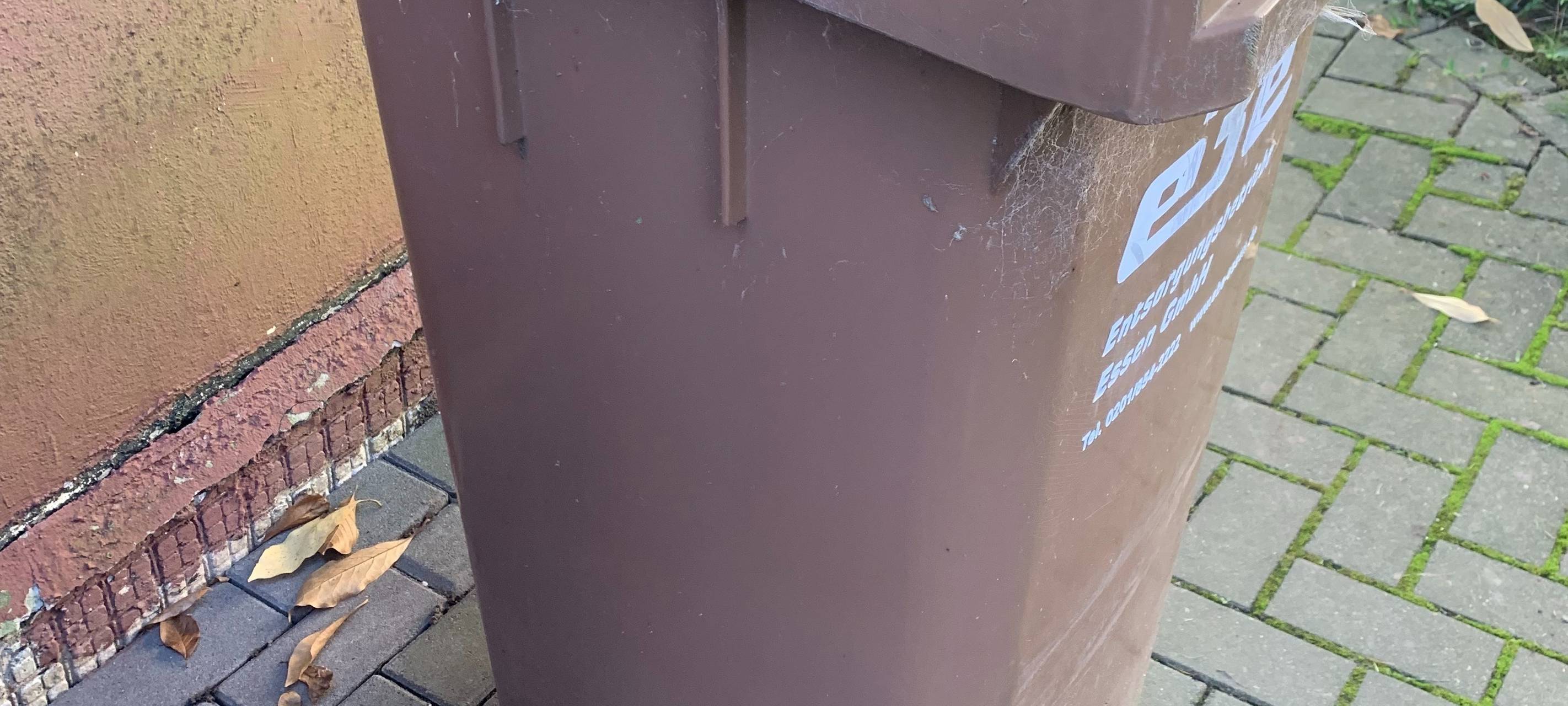DSB informiert über Bio-Müll
