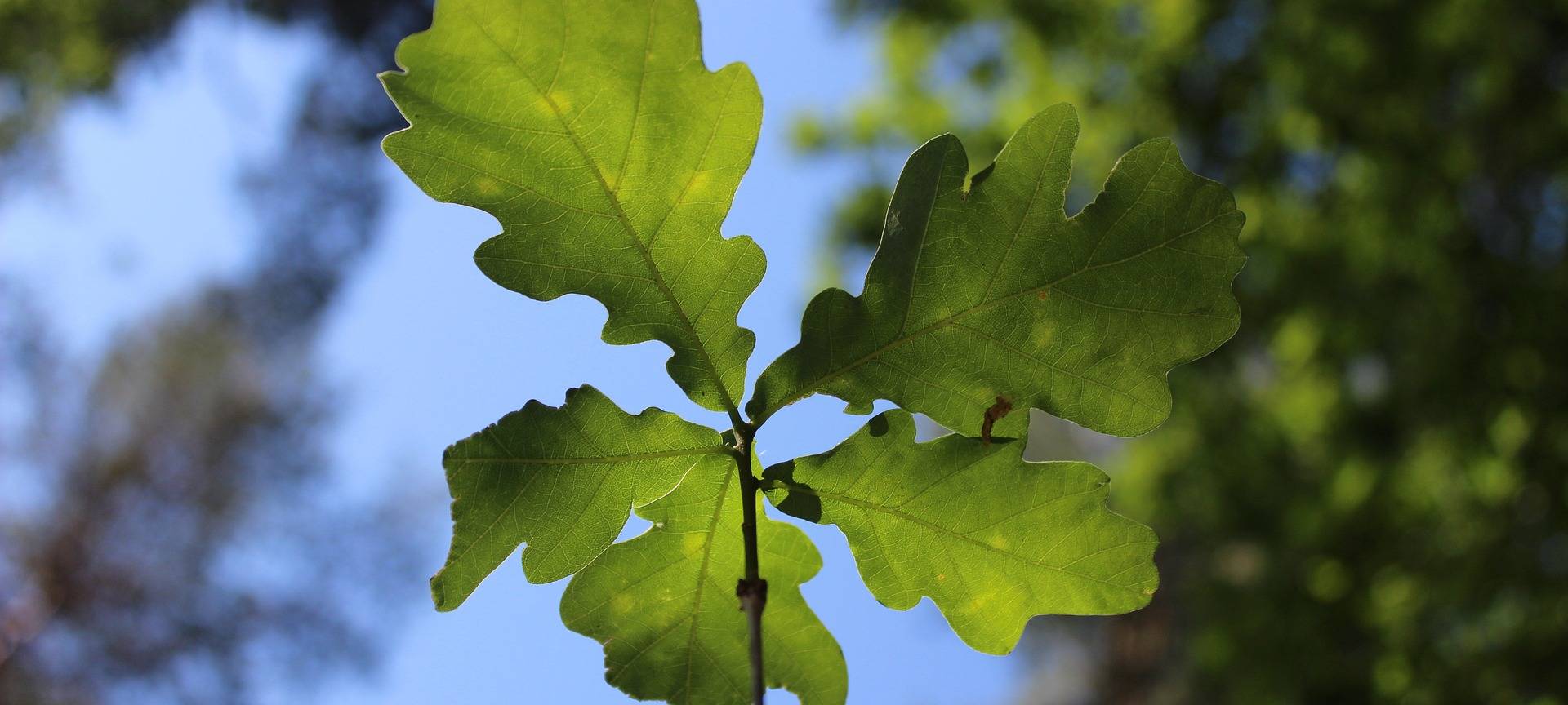 Neuer Verein "Naturschule Rureifel" in Düren