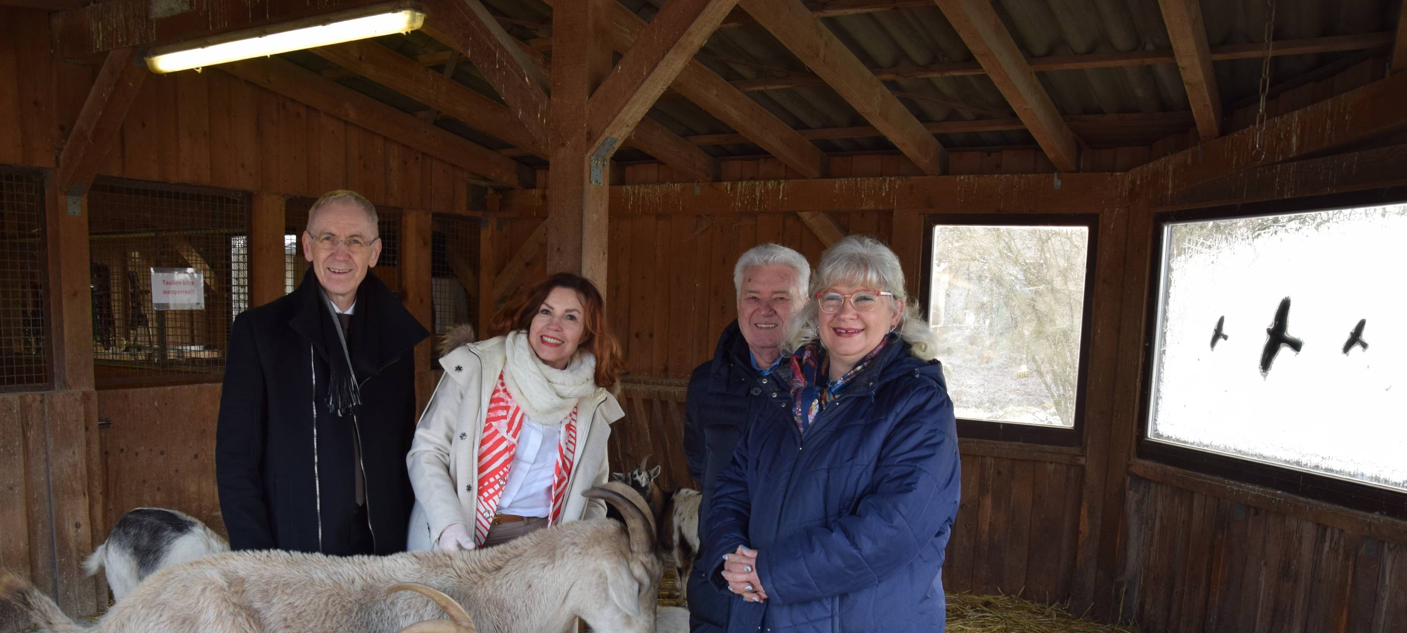 Spende fürs Tierheim