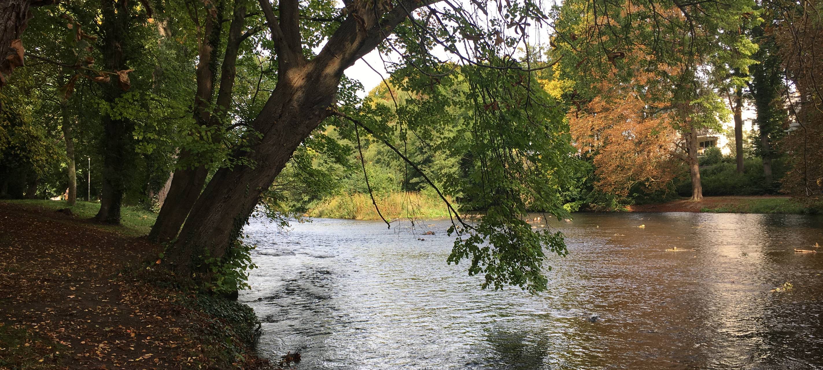 Gefahren in den Flüssen
