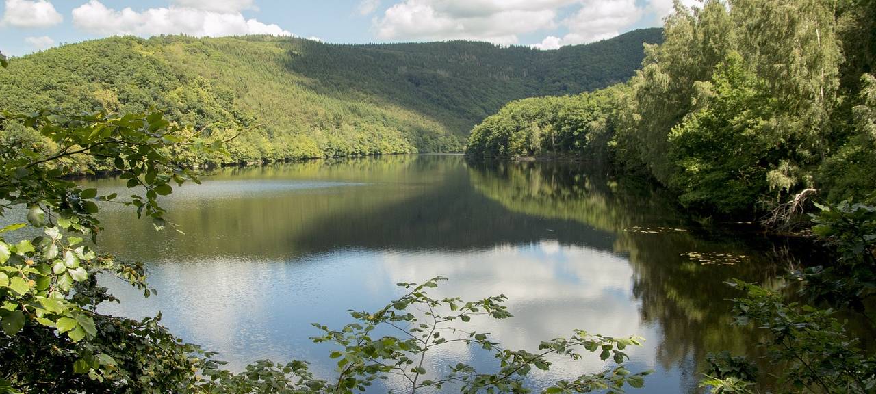 Neuer Nationalpark in NRW geplant