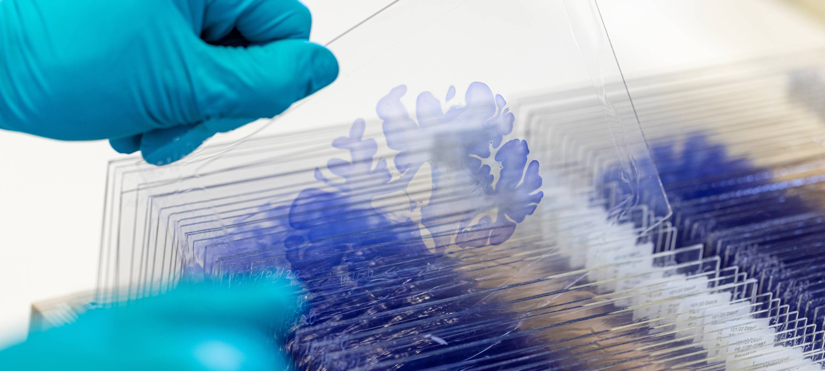 Abschluss für Projekt