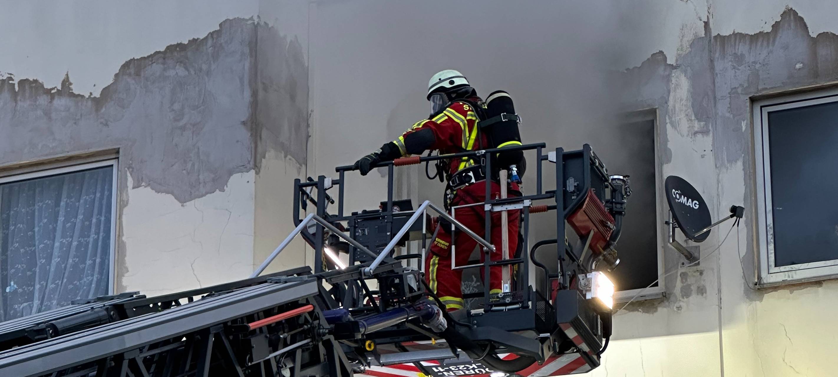 Tote Hunde nach Zimmerbrand