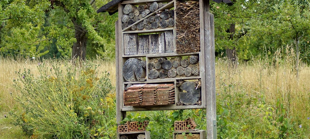 Neue Insektenhotels in Kreuzau