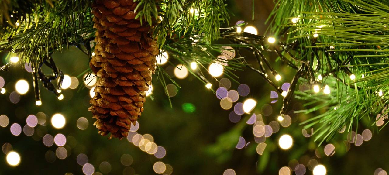 Umfrage zum Weihnachtsmarkt gestartet