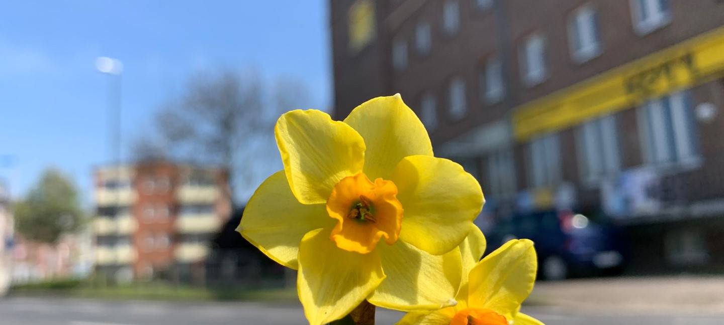 Viel Geld für Dorfverschönerungen an der Rur