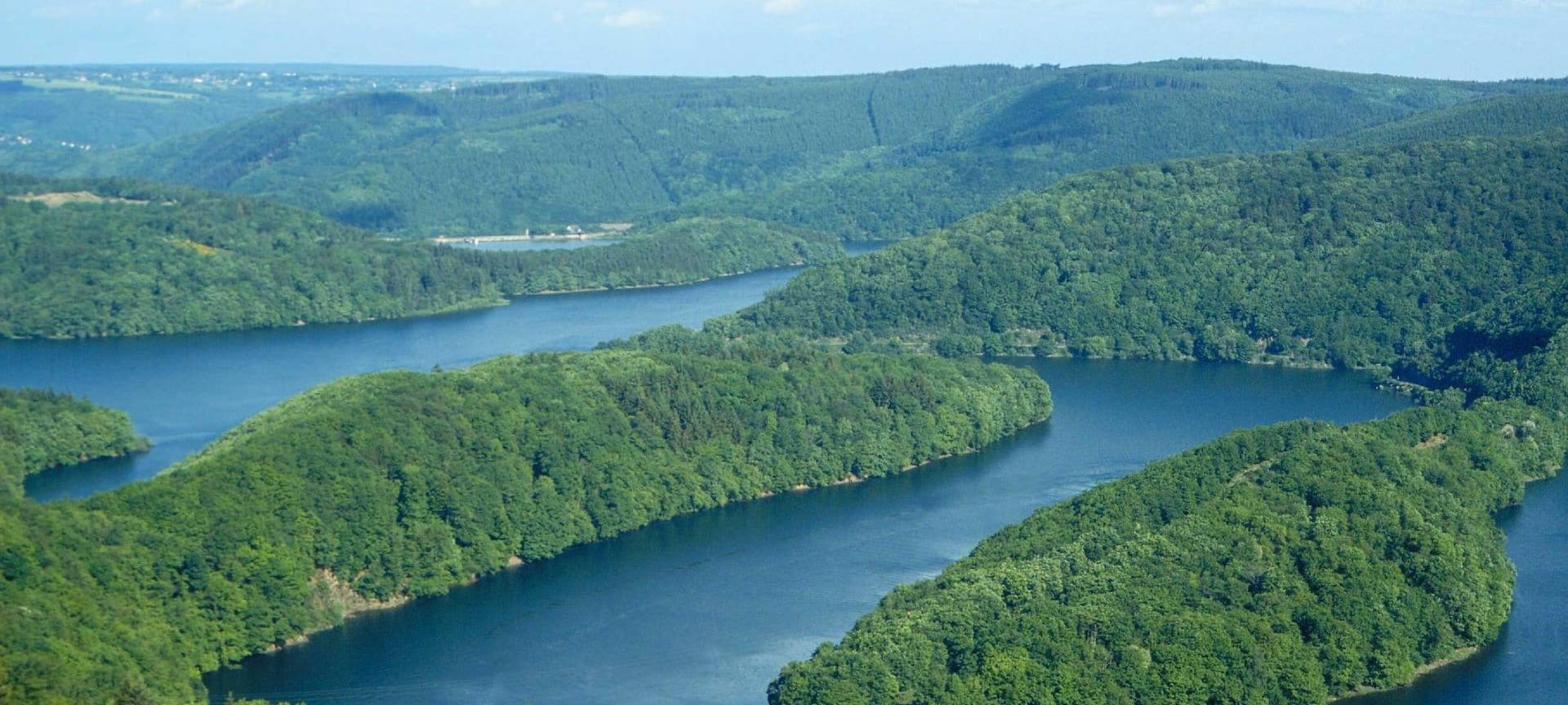 Tag des Artenschutzes: Positives Fazit beim Nationalpark Eifel