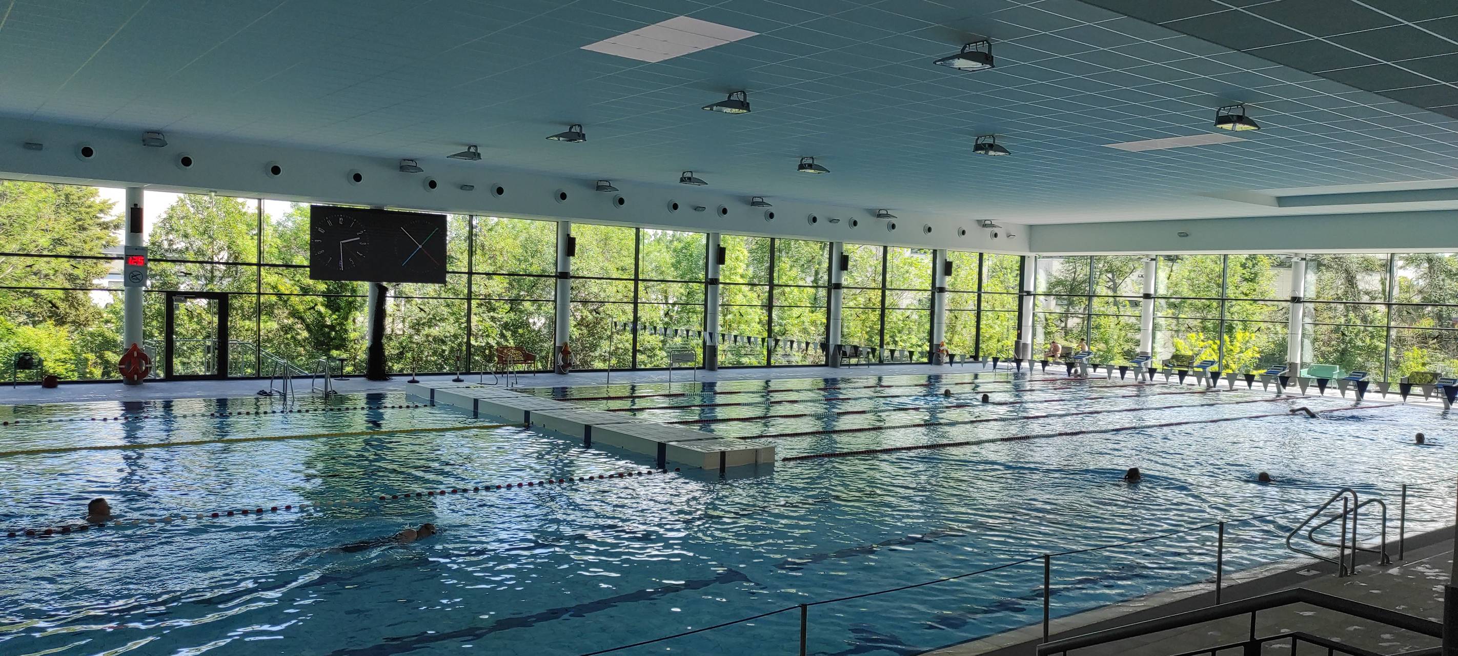 Seepferdchen im Rurbad