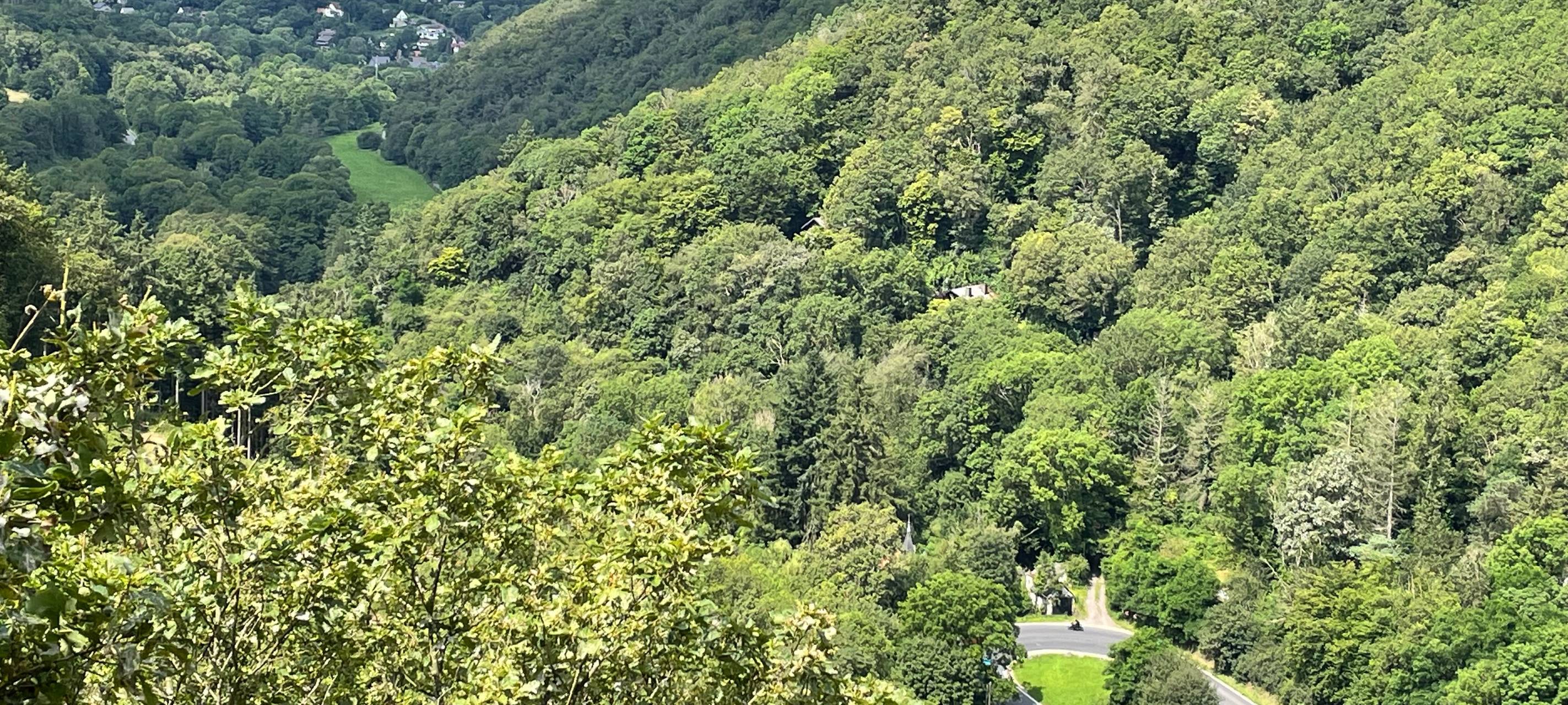 Mit 119 statt der erlaubten 50 in der Eifel geblitzt