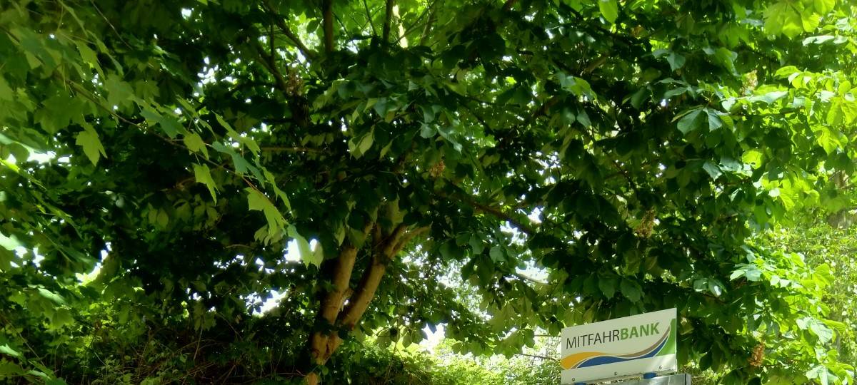 Wie Trampen - nur ohne Daumen
