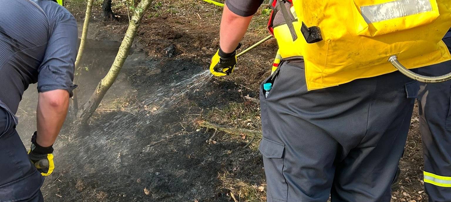Waldbrand im Nationalpark ist gelöscht
