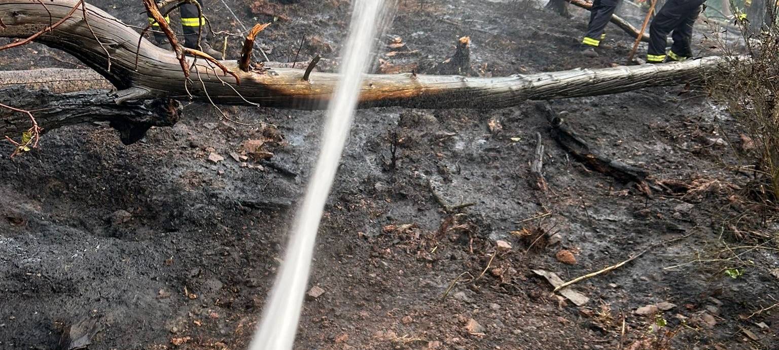 Waldbrand im Nationalpark ist gelöscht