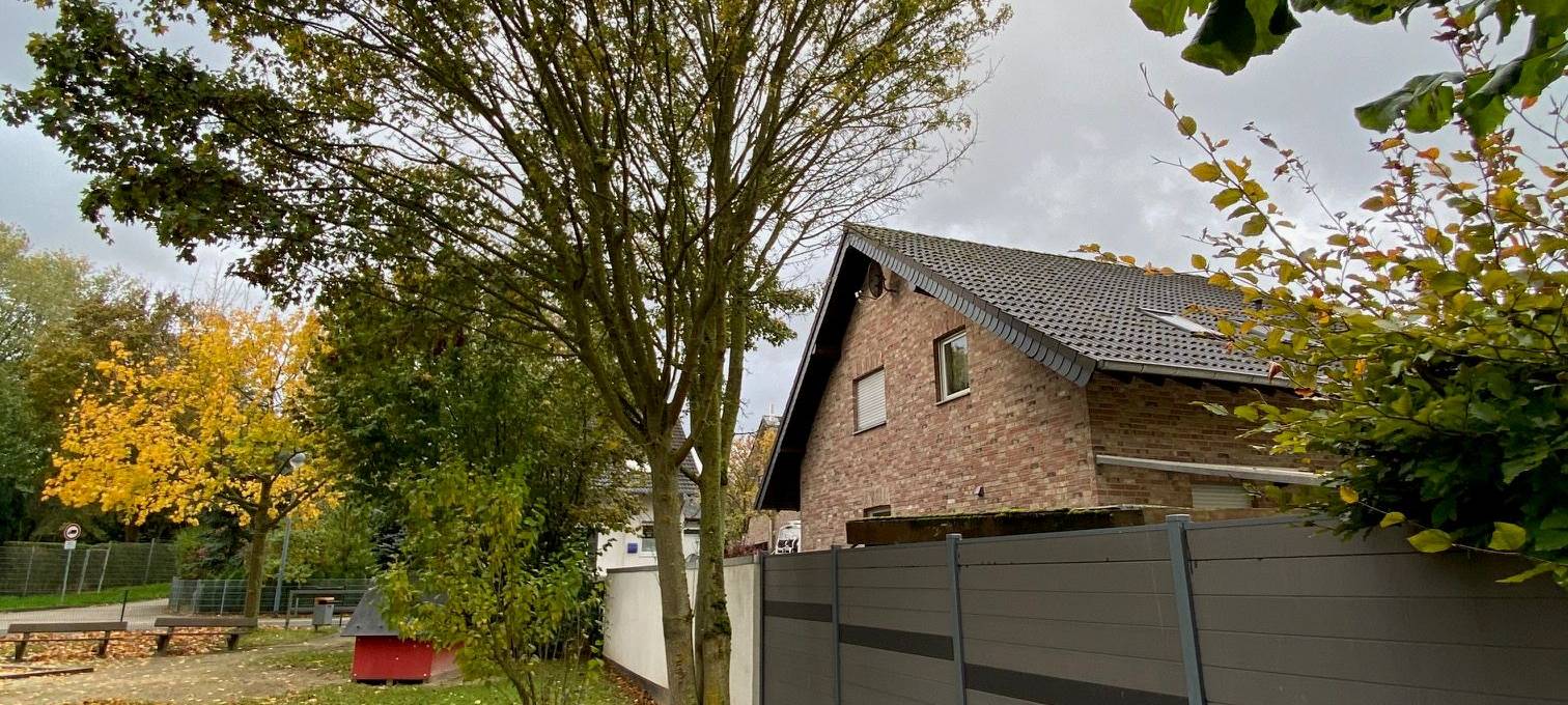 Bäume in Jülich-Koslar beschädigt
