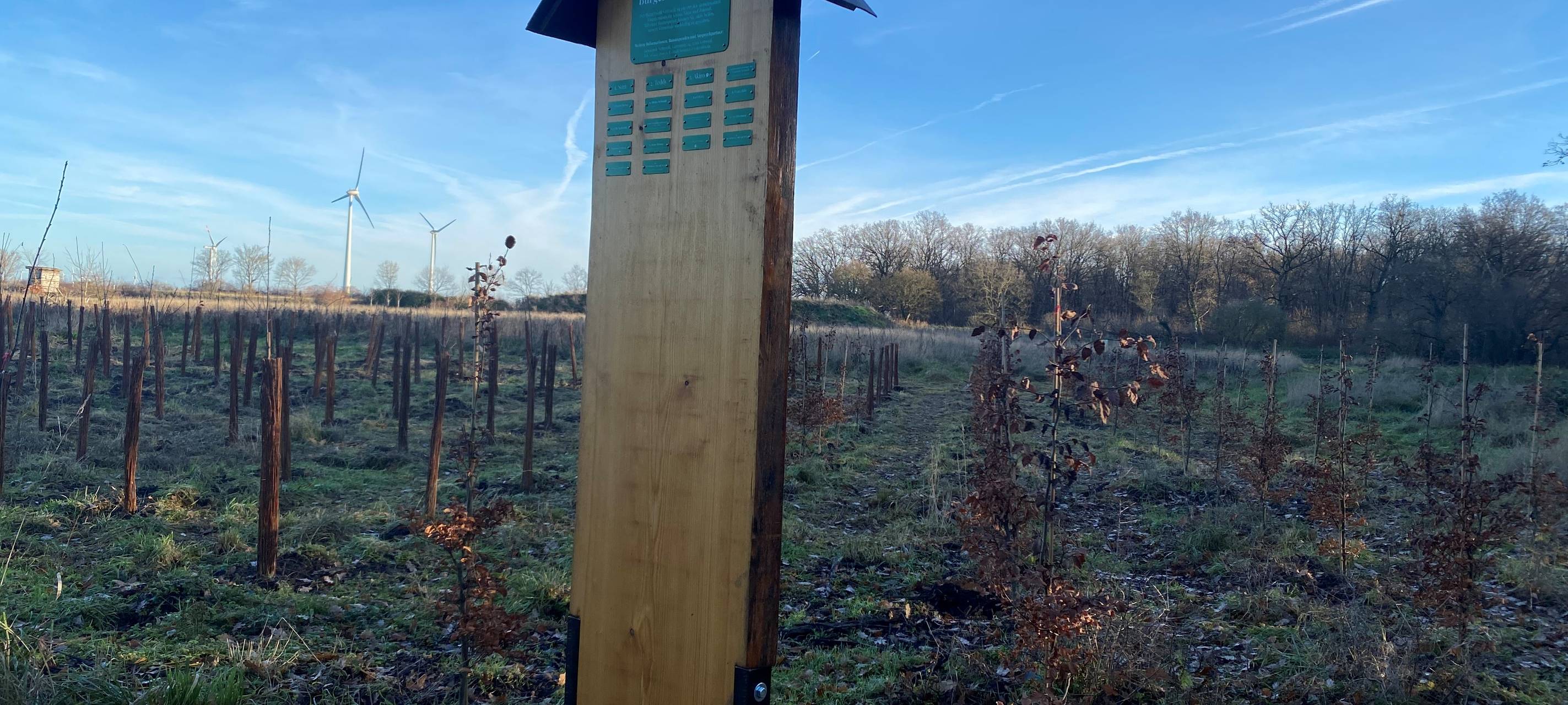 Neuer Bürgerwald in Vettweiß