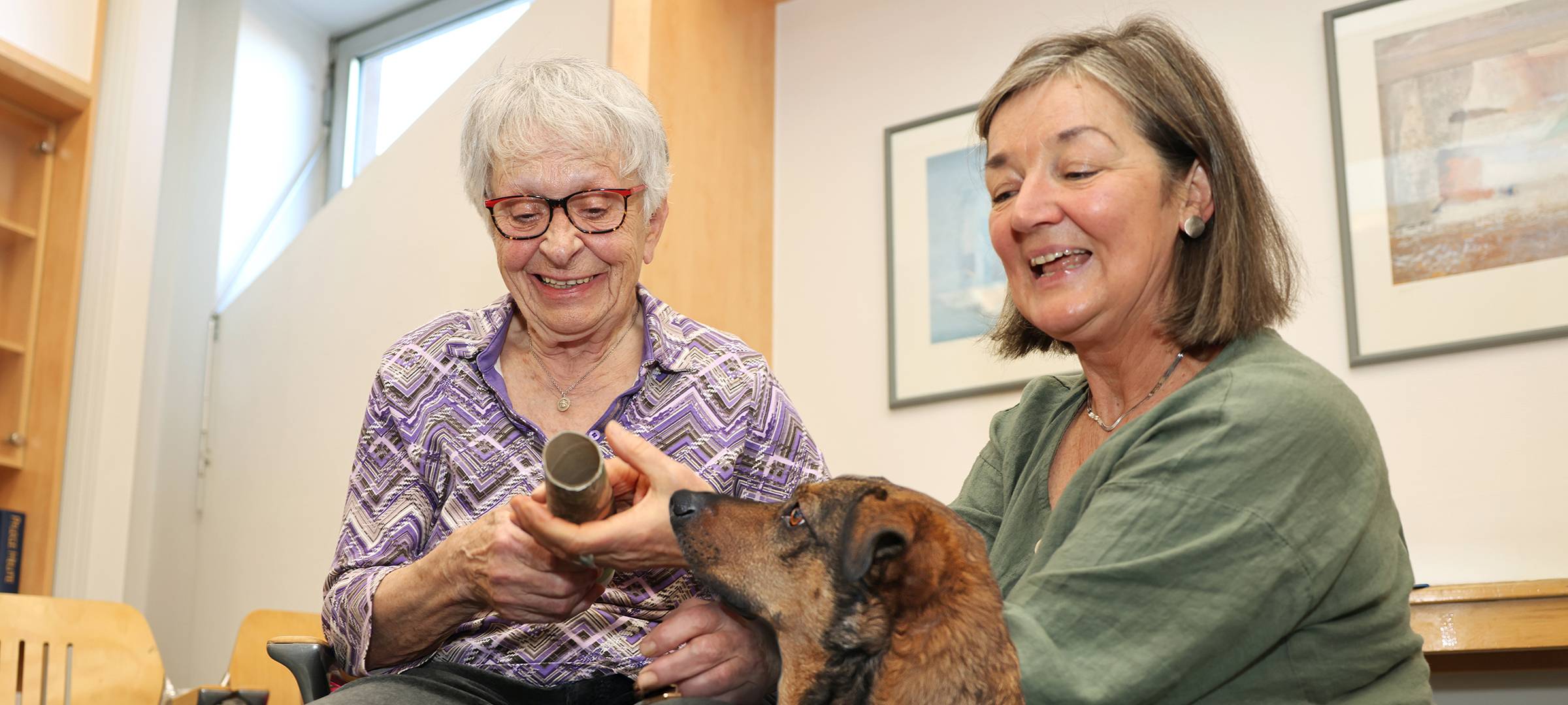 Therapiehund im Krankenhaus Jülich