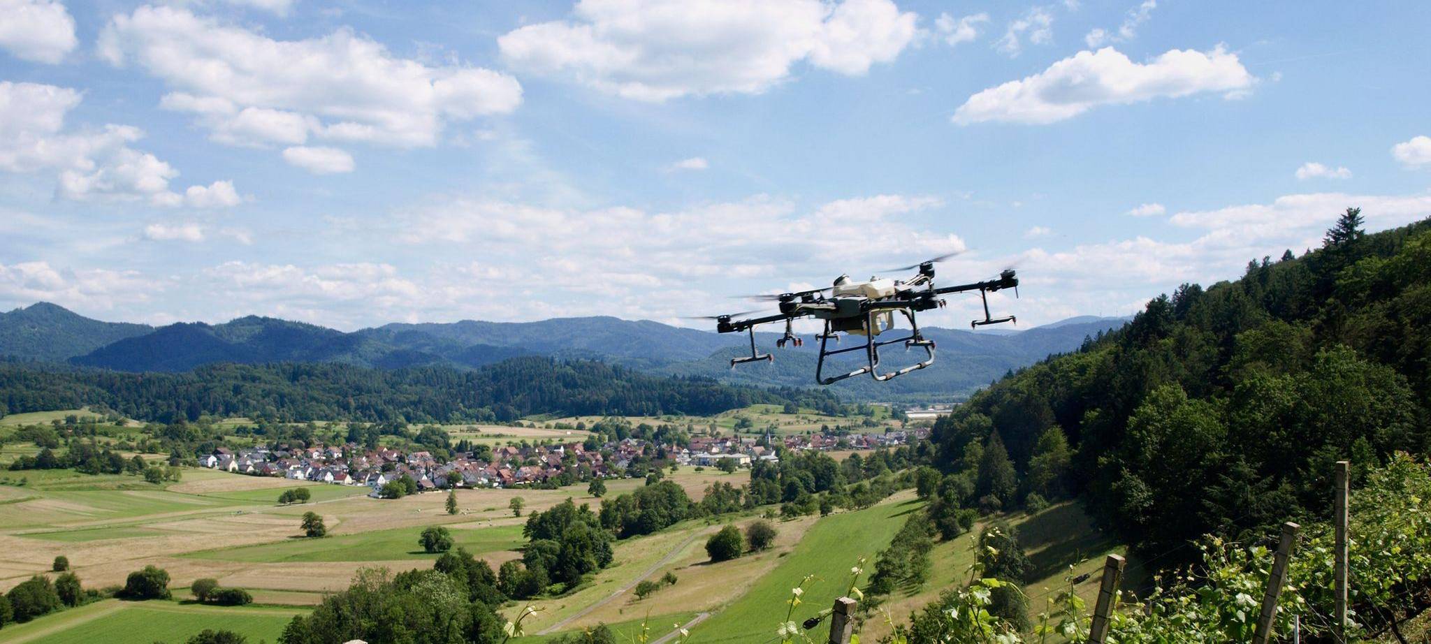 Drohne fliegt über Weinberge