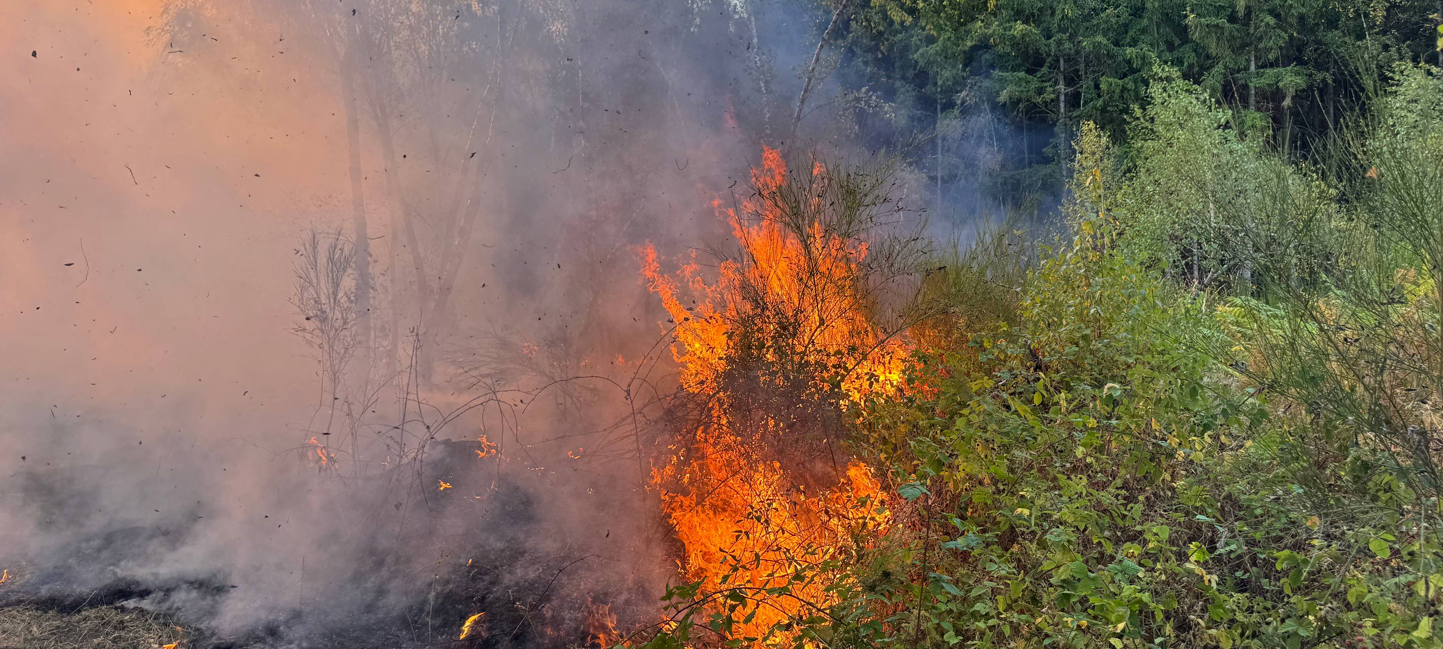 Waldbrand bei Gey: Feuer noch 270 Meter vom Ortsrand entfernt