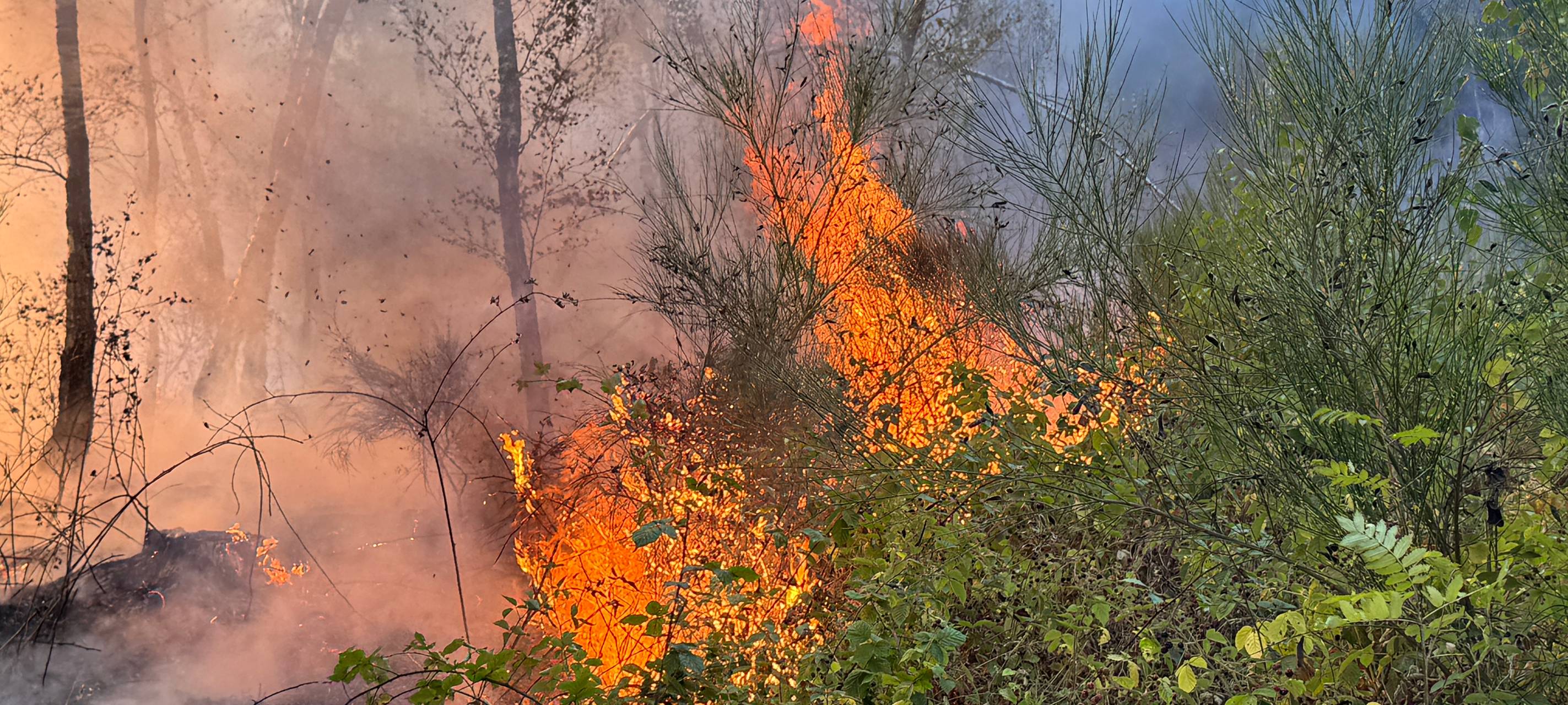 Waldbrand bei Gey: Feuer noch 270 Meter vom Ortsrand entfernt