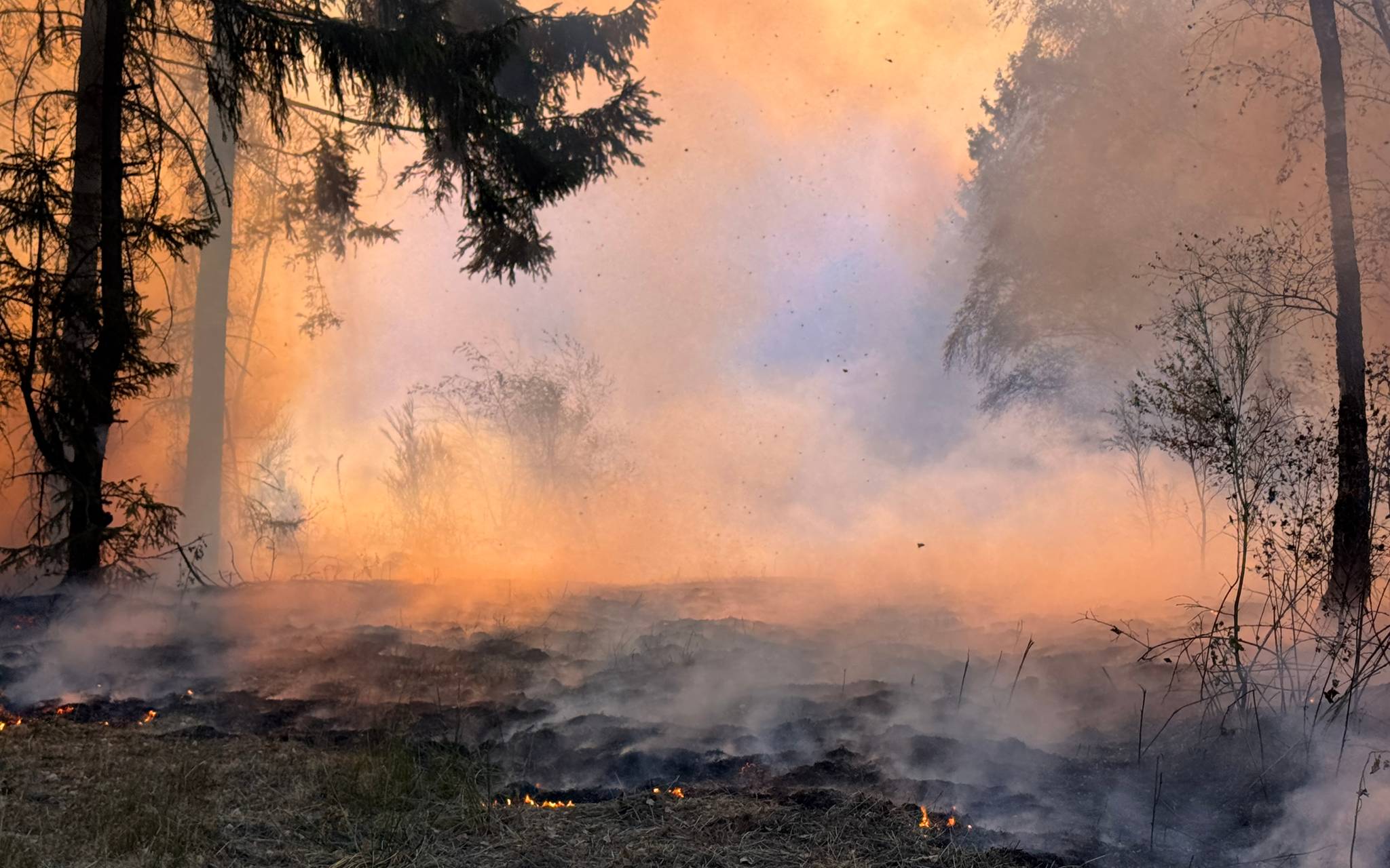 Der Waldbrand im Hürtgenwald - alle Infos im Ticker
