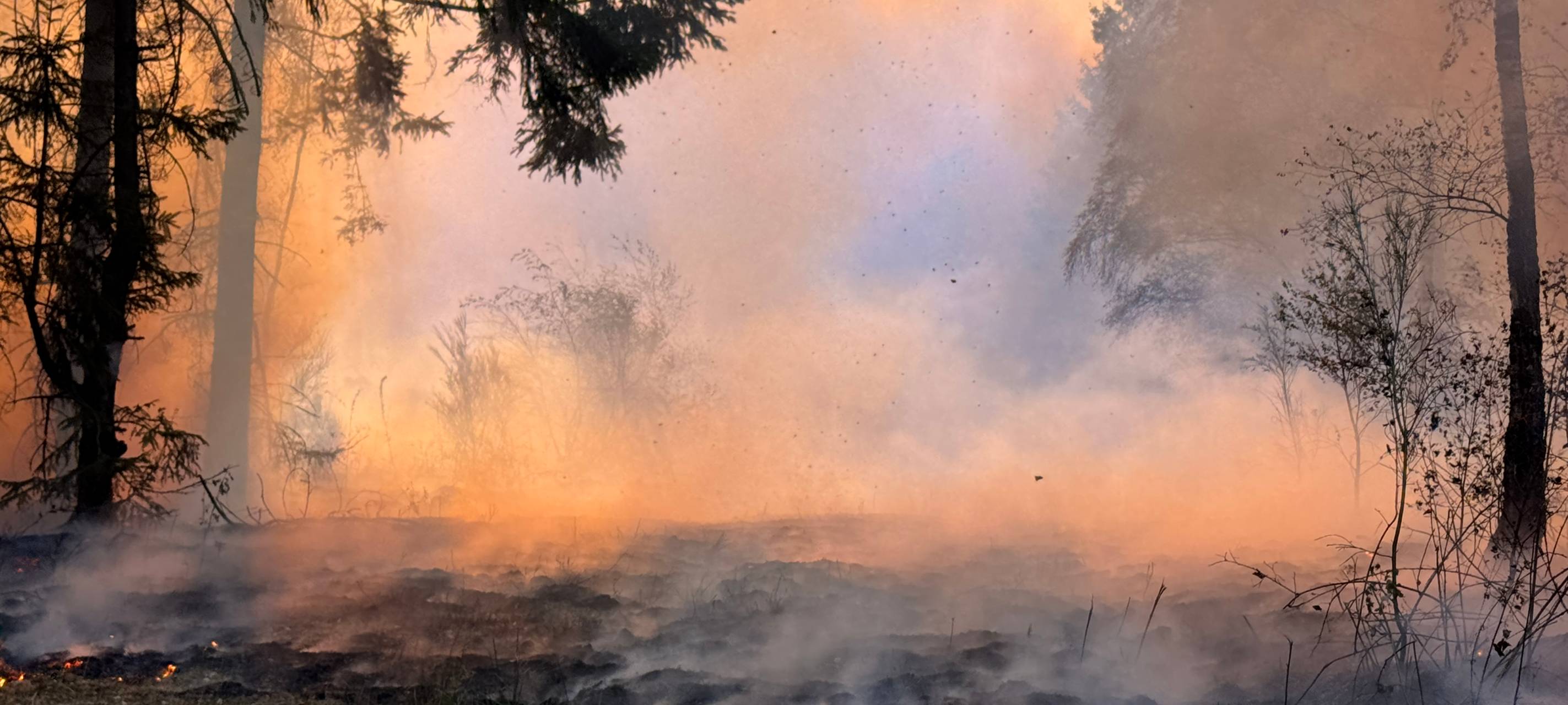 Der Waldbrand im Hürtgenwald - alle Infos im Ticker