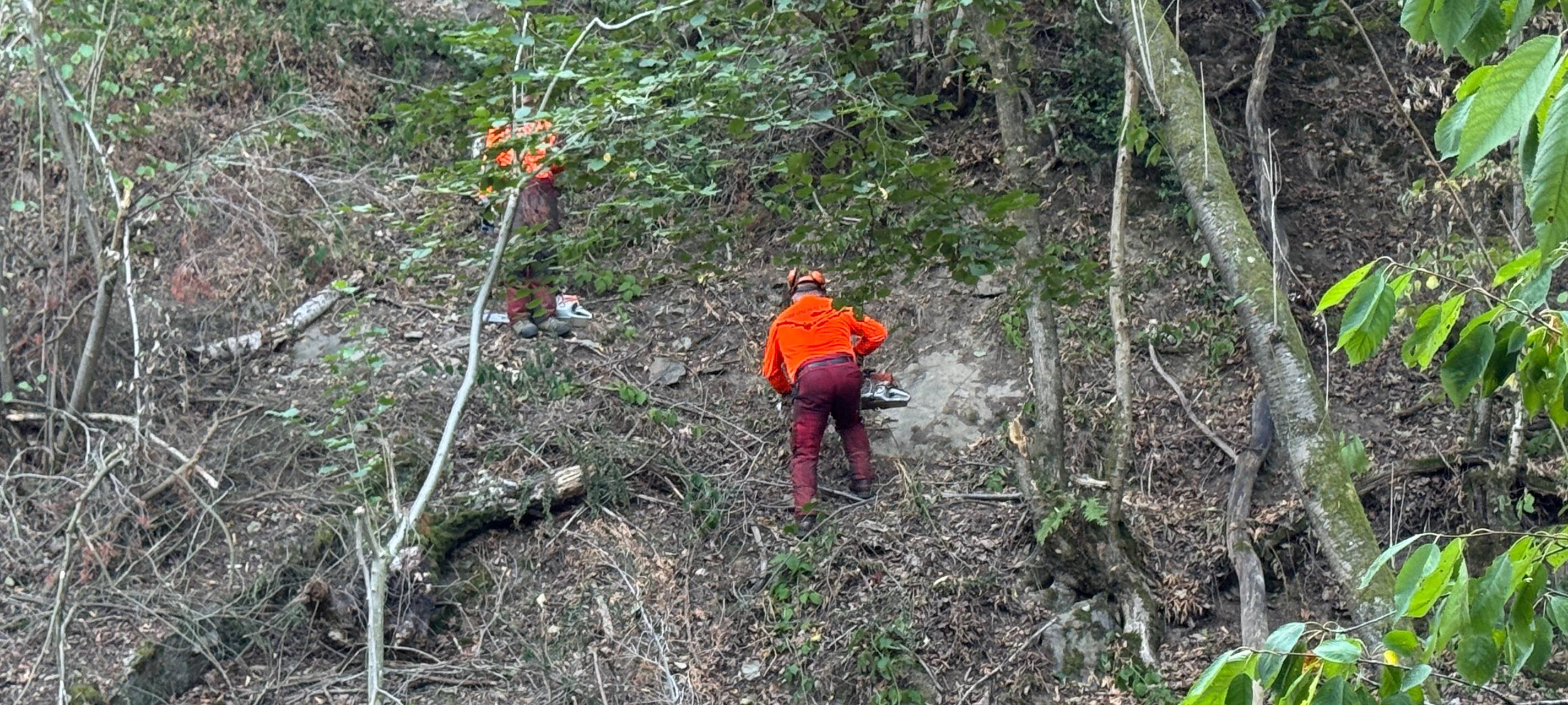 Waldbrand bei Gey: Feuer noch 270 Meter vom Ortsrand entfernt