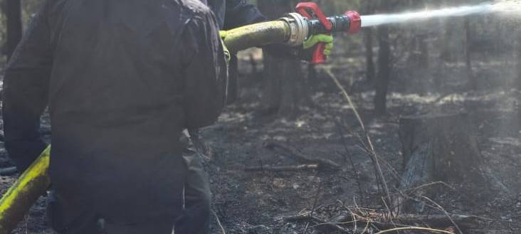 Waldbrand im Hürtgenwald: Einsatz läuft weiter