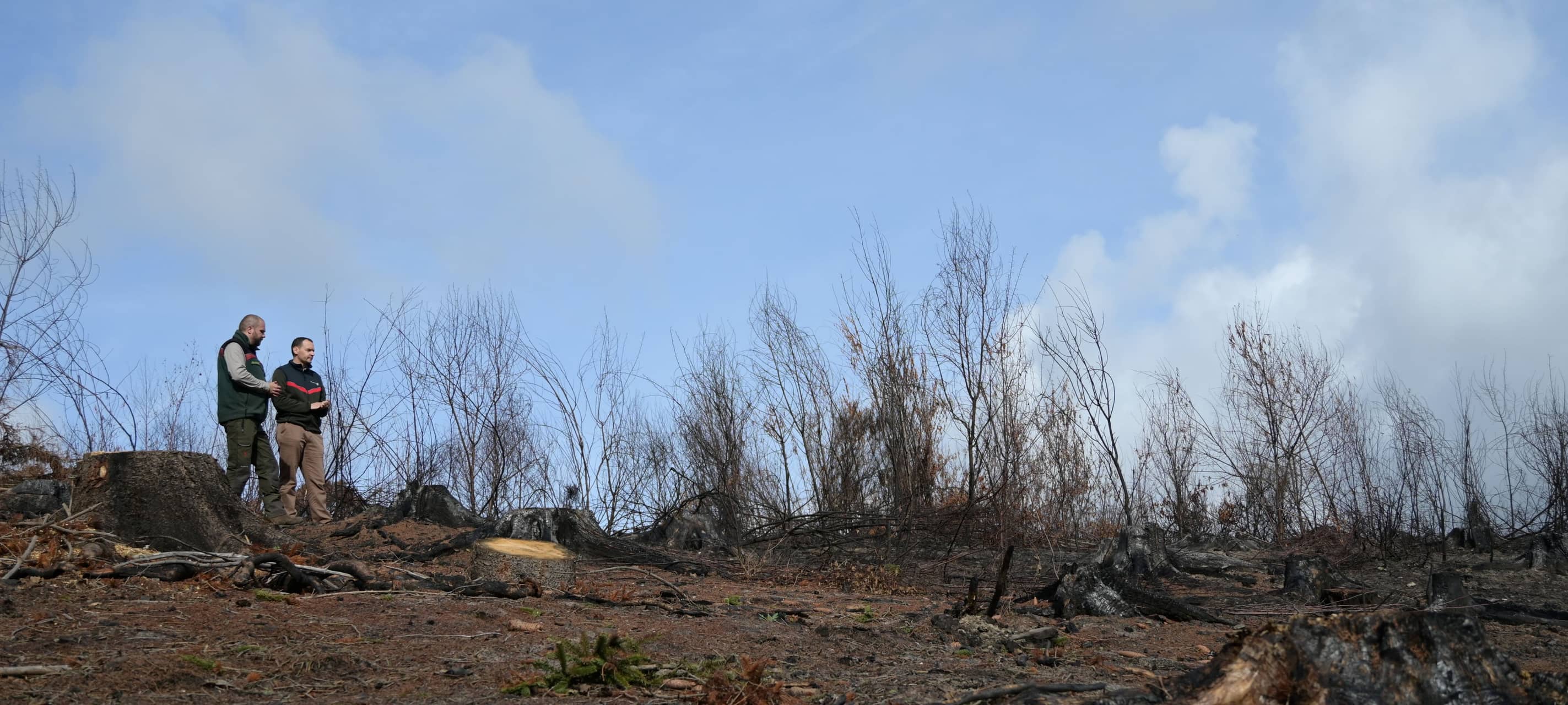 Staatsanwaltschaft vermutet Brandstiftung im Hürtgenwald