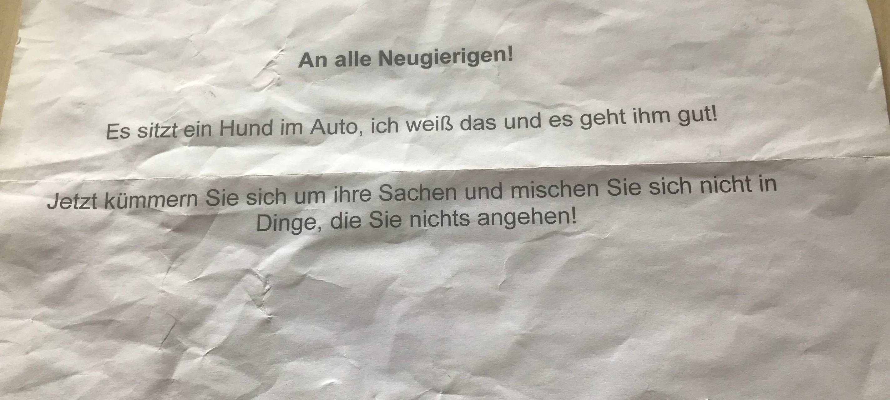 Hitzetod eines Hundes in Jülich hat juristisches Nachspiel