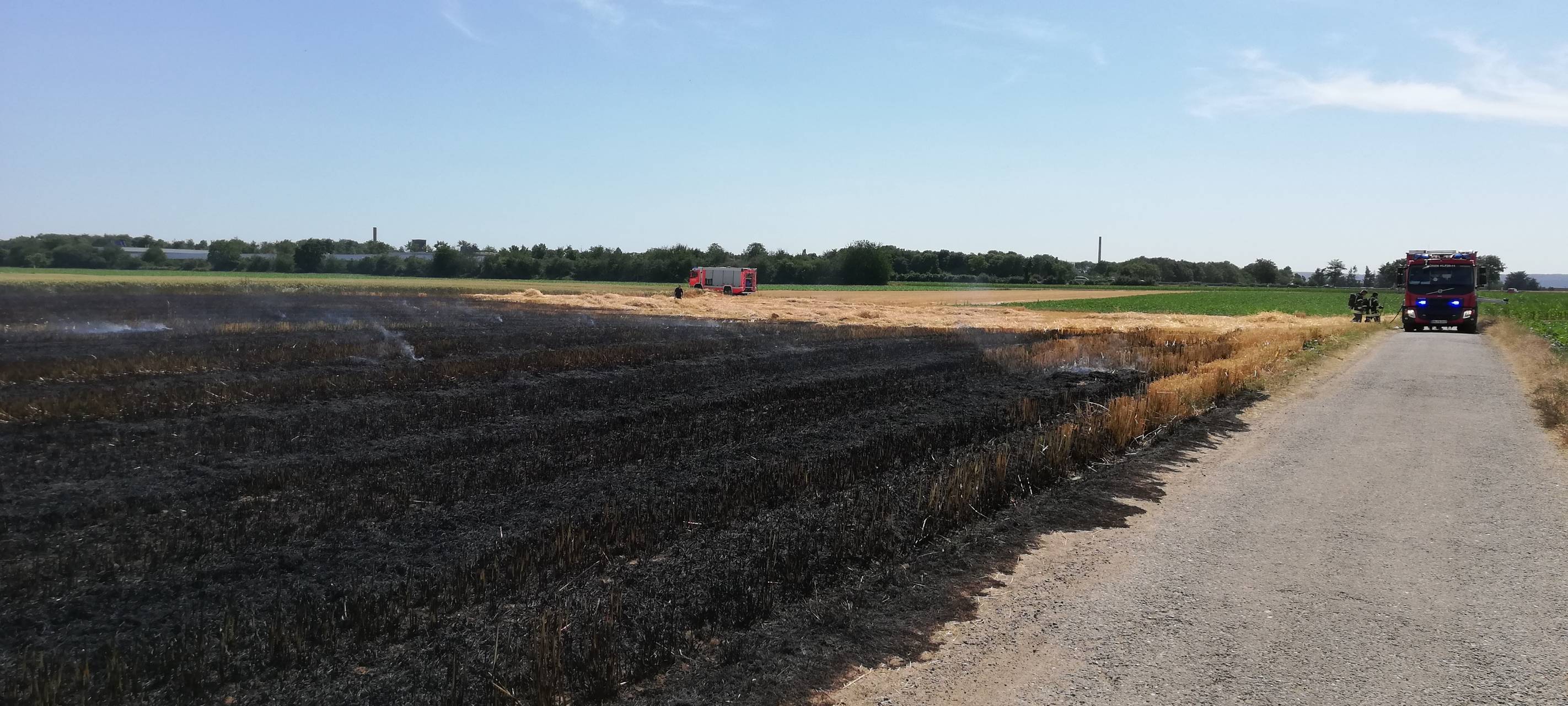 Brand von 8.000 Quadratmetern Stoppelfeld in Düren
