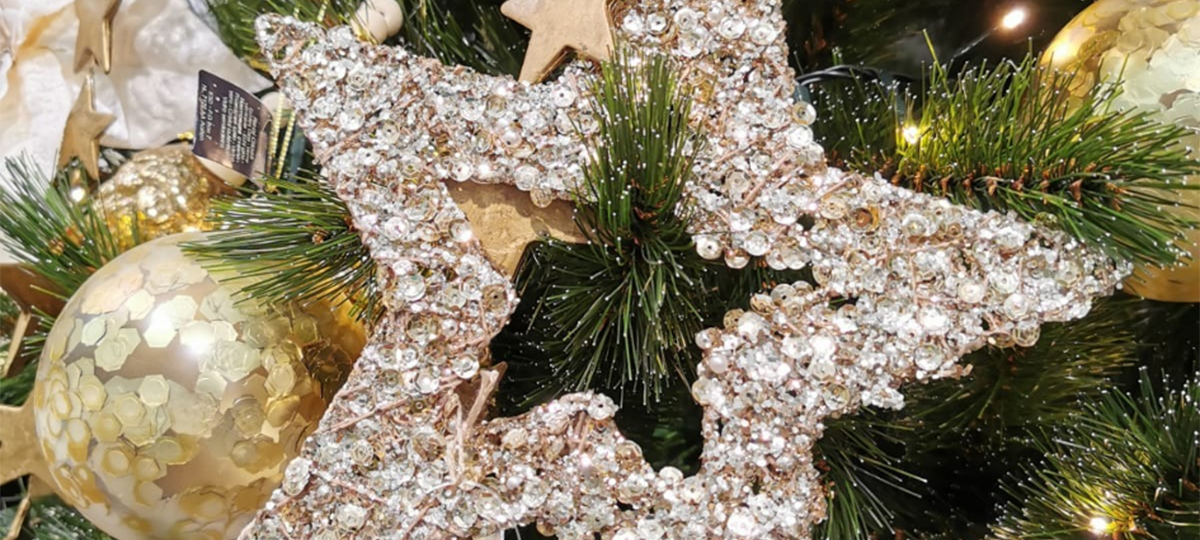 Oh Tannenbaum- Die große Radio Rur Weihnachtsbaumverlosung