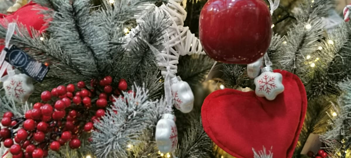 Oh Tannenbaum- Die große Radio Rur Weihnachtsbaumverlosung