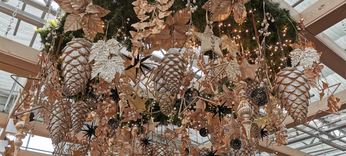 Oh Tannenbaum- Die große Radio Rur Weihnachtsbaumverlosung
