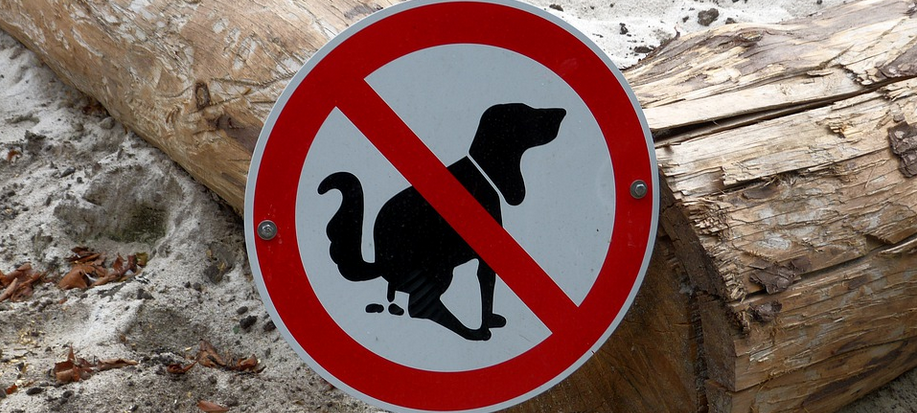 Hundekot macht Kreuzau Probleme